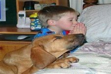 praying dog.jpg